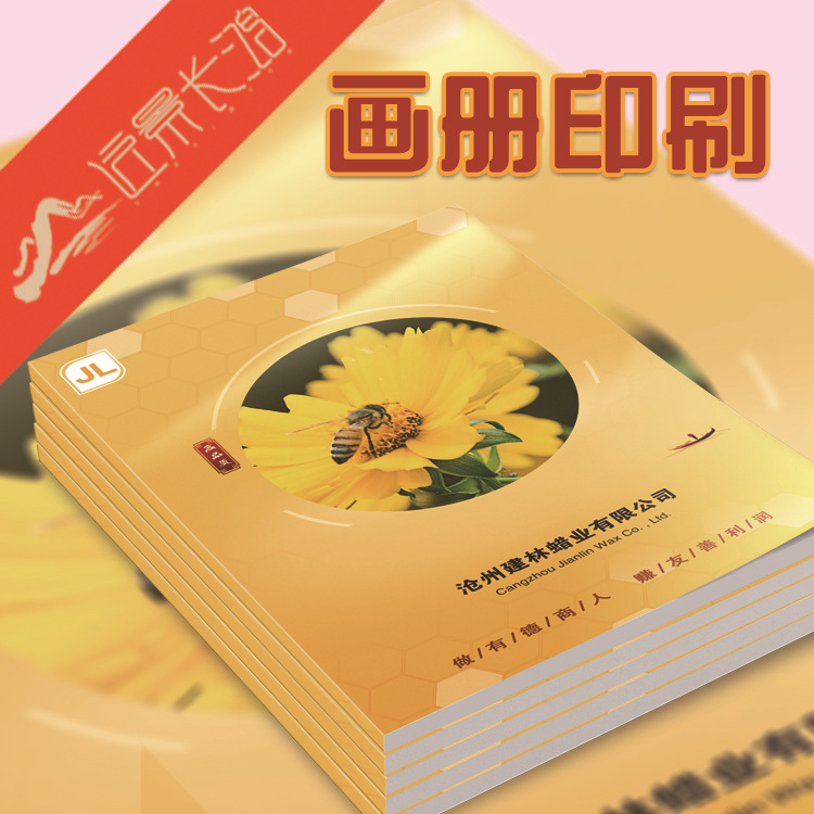 司產(chǎn)品圖冊(cè)說(shuō)明書  企業(yè)宣傳畫冊(cè)印刷設(shè)計(jì)公 印刷畫冊(cè)